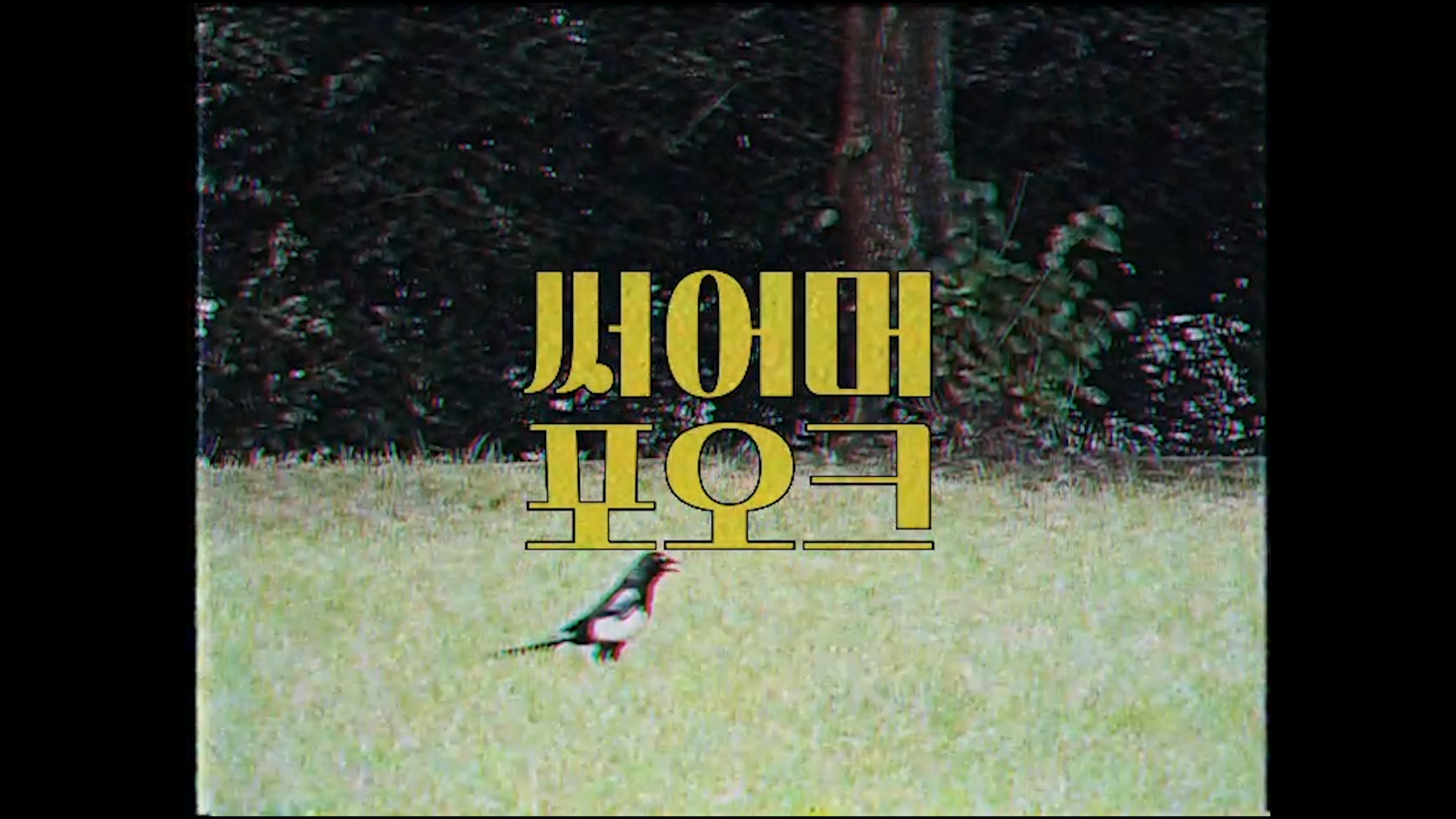 썸머 포크📺 | 그 시절 여름, 7080으로 착륙합니다✈ | PLAYLIST